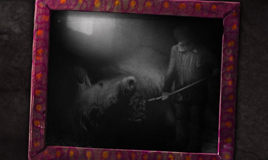 Darkwood — свиноматка и её квест